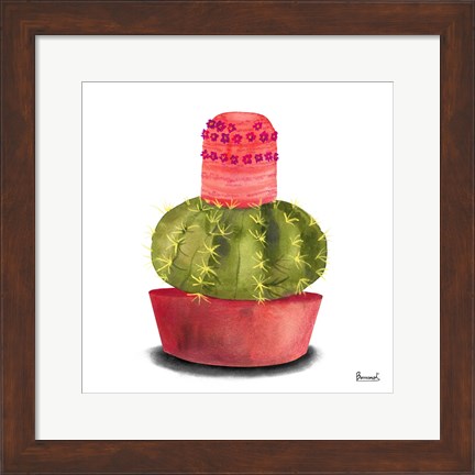 Framed Cactus Flowers IV Print