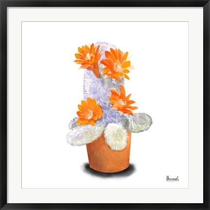 Framed Cactus Flowers VI Print