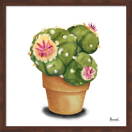 Framed Cactus Flowers VII Print