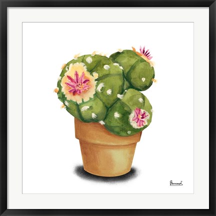 Framed Cactus Flowers VII Print