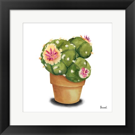 Framed Cactus Flowers VII Print