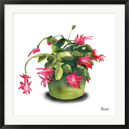 Framed Cactus Flowers VIII Print