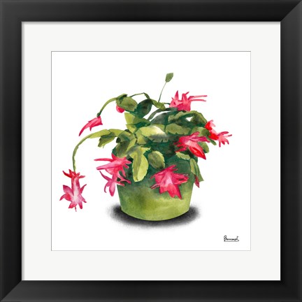 Framed Cactus Flowers VIII Print