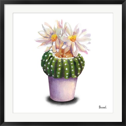 Framed Cactus Flowers IX Print