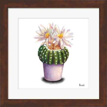 Framed Cactus Flowers IX Print