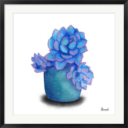 Framed Turquoise Succulents I Print