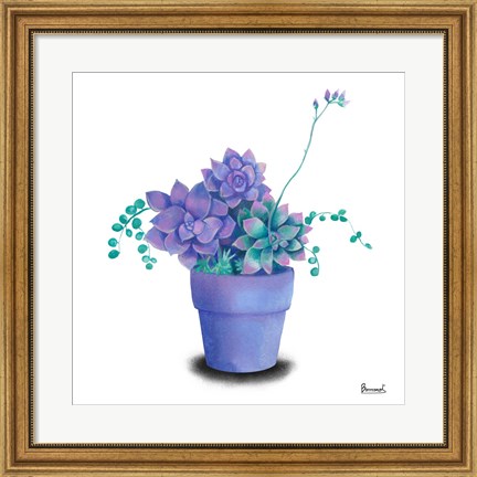 Framed Turquoise Succulents II Print