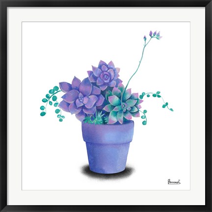 Framed Turquoise Succulents II Print