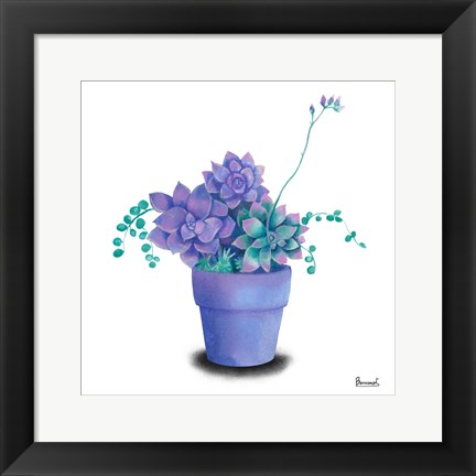 Framed Turquoise Succulents II Print