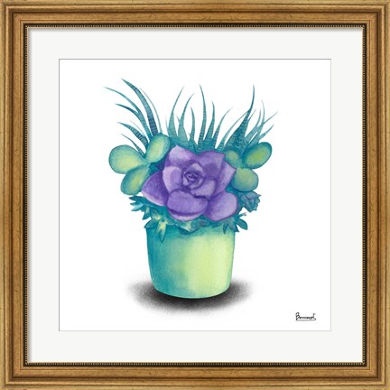 Framed Turquoise Succulents III Print