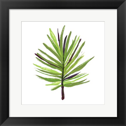 Framed Leaves of the Tropics III Print