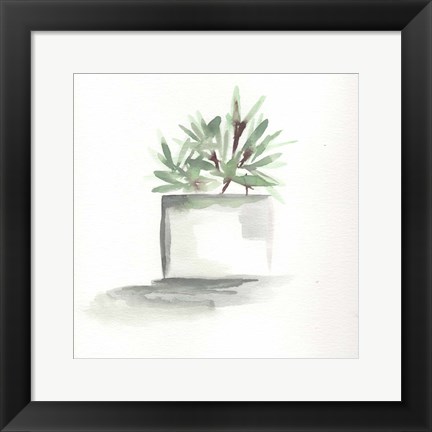 Framed Watercolor Cactus Still Life IV Print