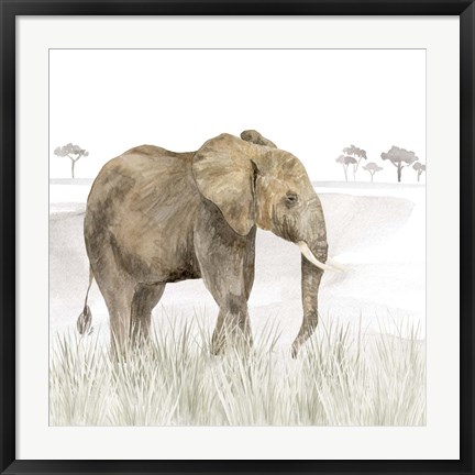 Framed Serengeti Elephant Square Print