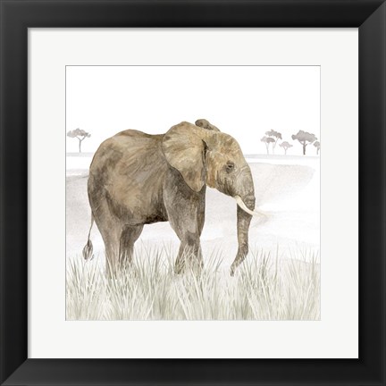 Framed Serengeti Elephant Square Print