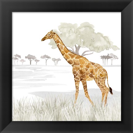 Framed Serengeti Giraffe Square Print