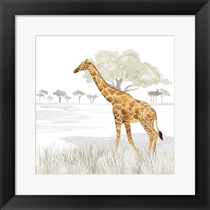 Framed Serengeti Giraffe Square Print