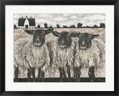 Framed Three Sheep Print