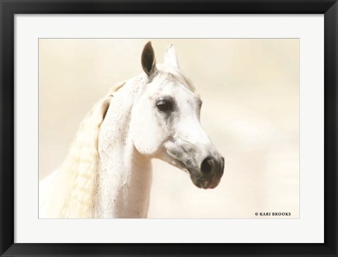 Framed Aloof Print