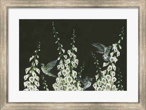 Framed Hummingbirds Print