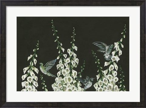 Framed Hummingbirds Print