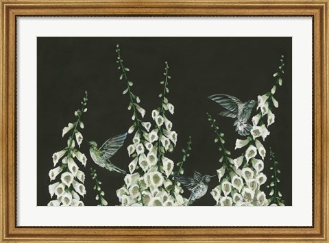 Framed Hummingbirds Print