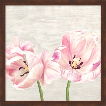 Framed Classic Tulips II Print