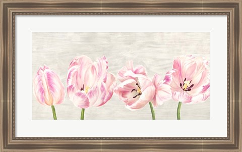 Framed Classic Tulips Print