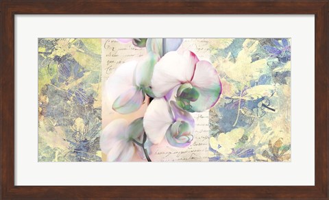 Framed Kaleidoscope Orchid Print