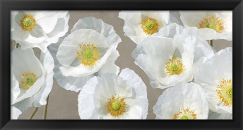 Framed Poppy Arrangement (Taupe) Print