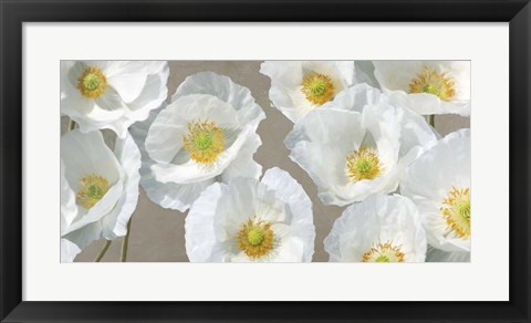 Framed Poppy Arrangement (Taupe) Print