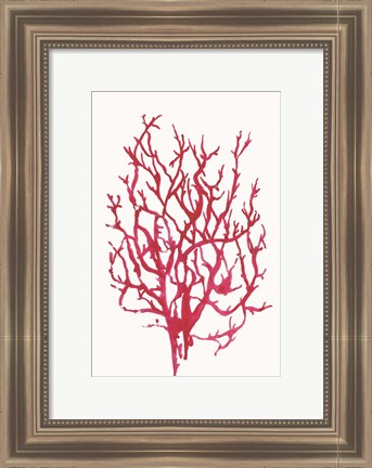 Framed Red Reef Coral I Print