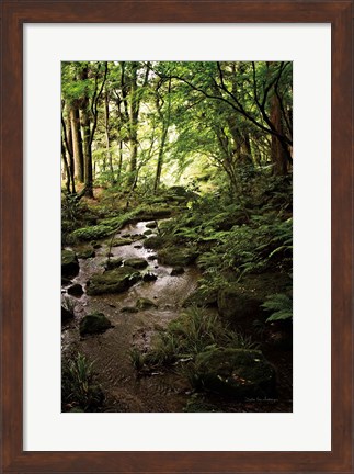 Framed Lush Creek in Forest Print