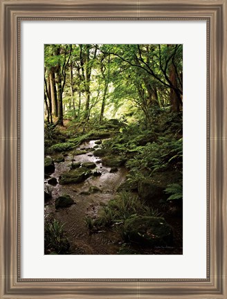 Framed Lush Creek in Forest Print