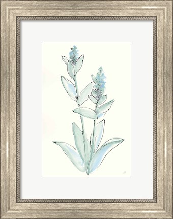 Framed Lambs Ear Sage IV Print