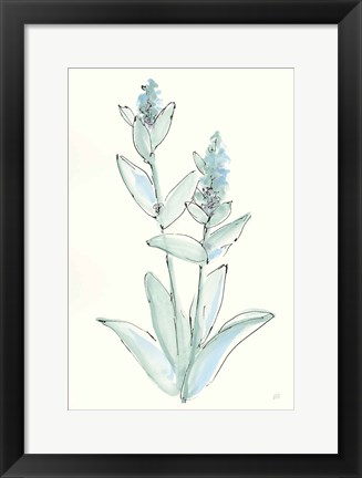 Framed Lambs Ear Sage IV Print