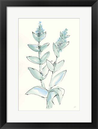 Framed Lambs Ear Sage III Print