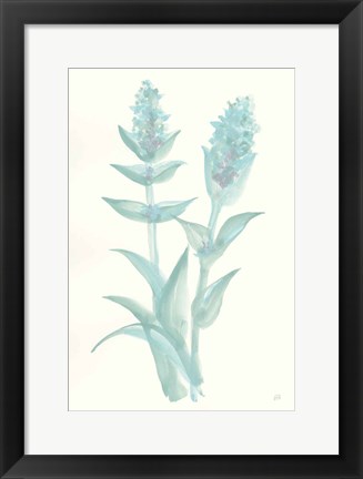 Framed Lambs Ear Sage II Print