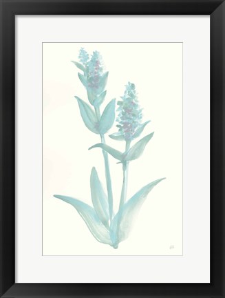 Framed Lambs Ear Sage I Print