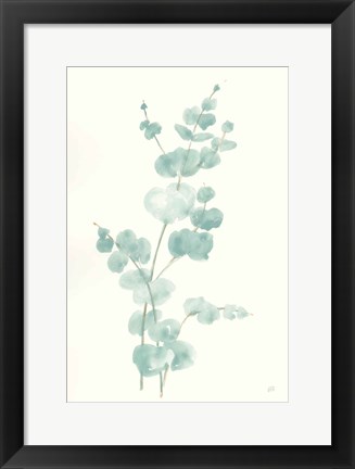 Framed Eucalyptus Branch II Print