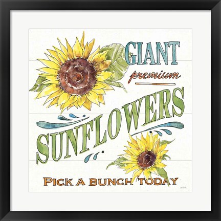 Framed Sunflower Fields IV Print