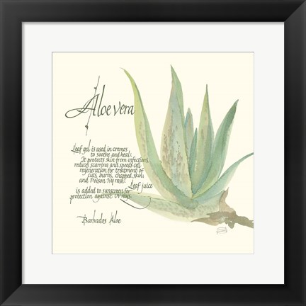 Framed Aloe Vera Print