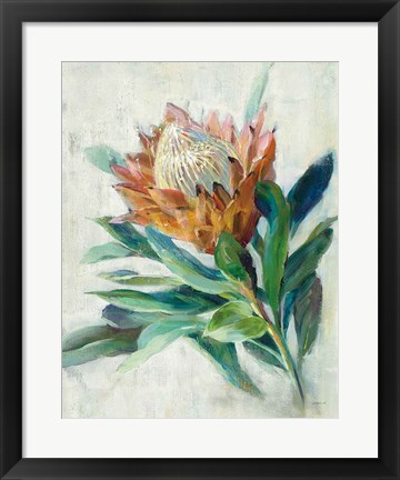 Framed Protea Print