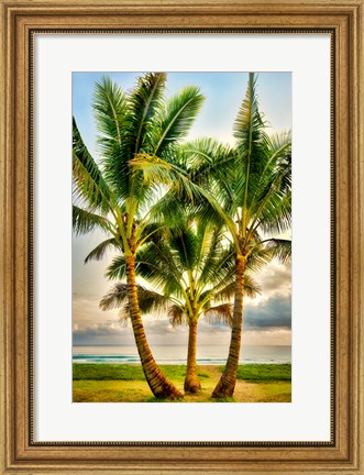 Framed Triple Palm Print