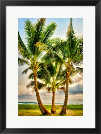 Framed Triple Palm Print