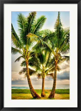 Framed Triple Palm Print