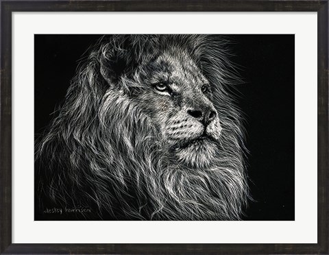 Framed African Lion Print