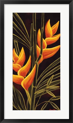 Framed Heliconia Print