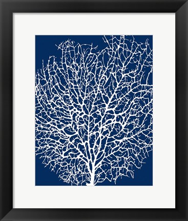 Framed Navy Coral II Print