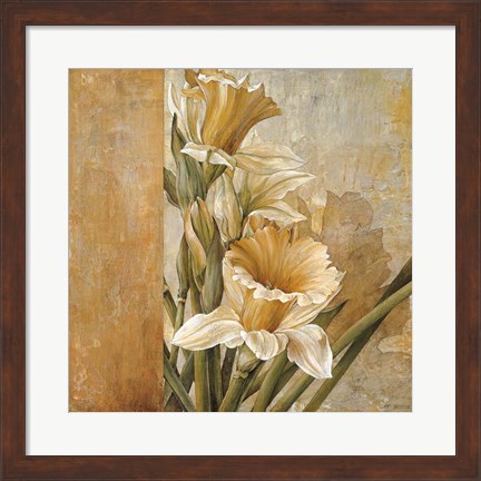 Framed Champagne Daffodils II Print