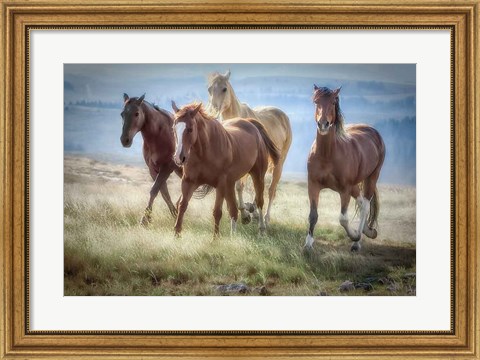 Framed Morning Stroll Print